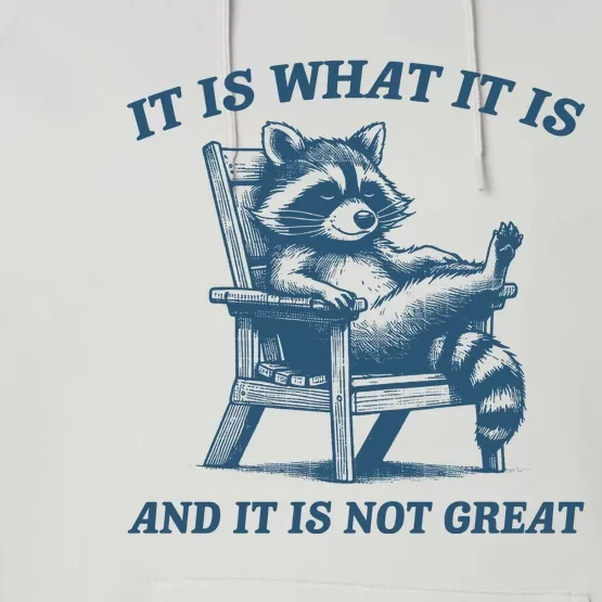 It Is What It Is And It Is Not Great Racoon Meme Performance Fleece Hoodie