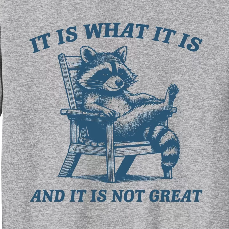 It Is What It Is And It Is Not Great Racoon Meme Tall Sweatshirt