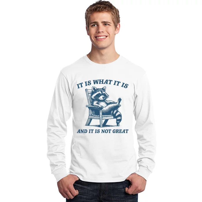 It Is What It Is And It Is Not Great Racoon Meme Long Sleeve Shirt