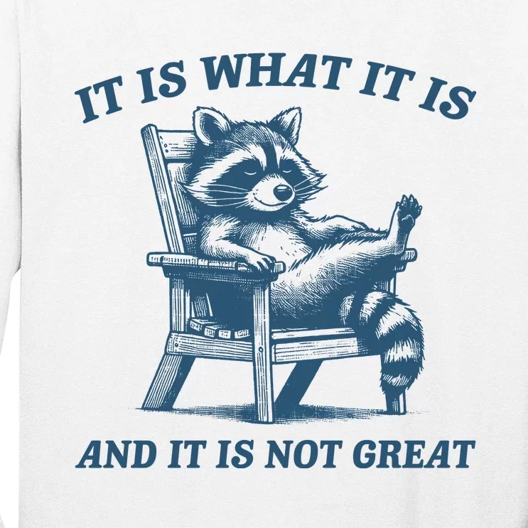 It Is What It Is And It Is Not Great Racoon Meme Long Sleeve Shirt