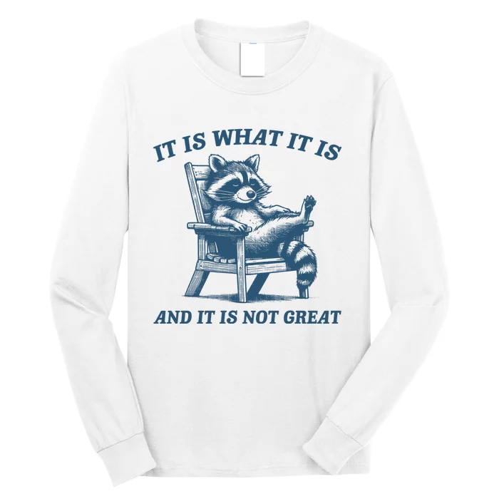 It Is What It Is And It Is Not Great Racoon Meme Long Sleeve Shirt