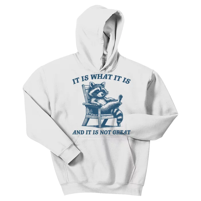 It Is What It Is And It Is Not Great Racoon Meme Kids Hoodie