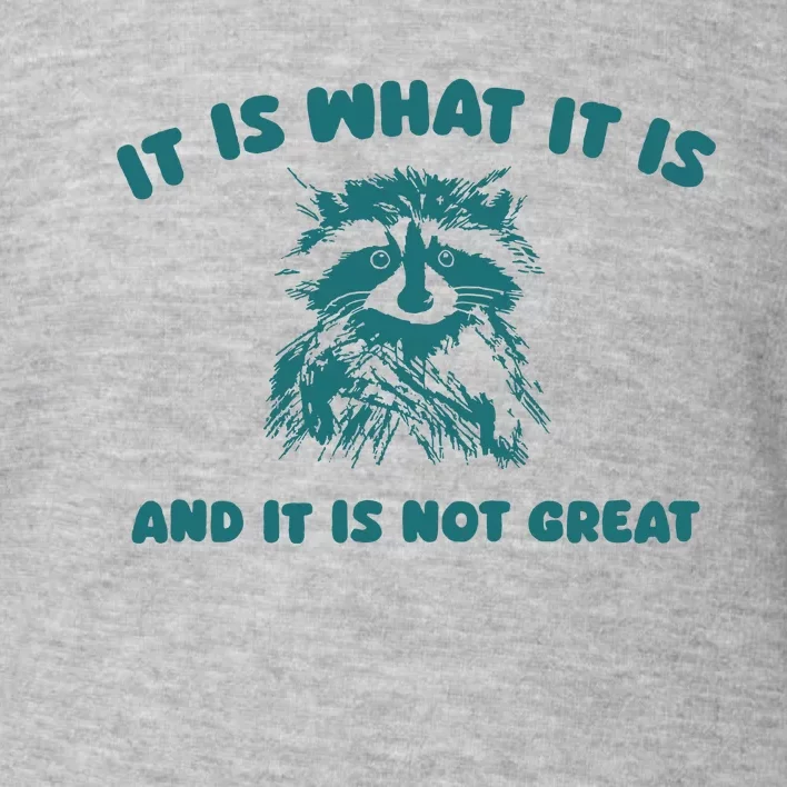 It Is What It Is And It Is Not Great Toddler Sweatshirt