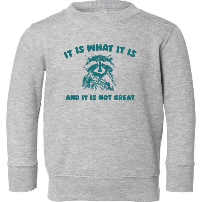 It Is What It Is And It Is Not Great Toddler Sweatshirt