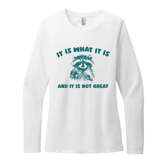 It Is What It Is And It Is Not Great Womens CVC Long Sleeve Shirt