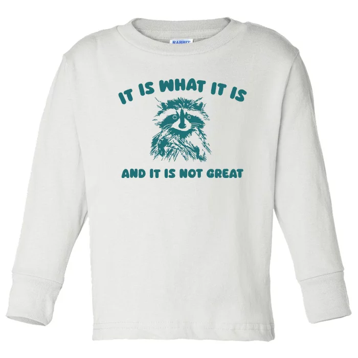 It Is What It Is And It Is Not Great Toddler Long Sleeve Shirt