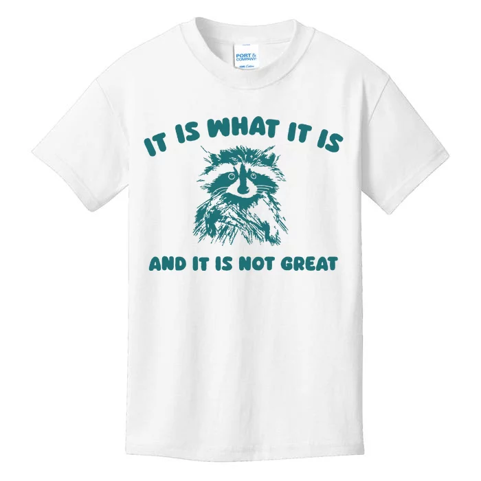 It Is What It Is And It Is Not Great Kids T-Shirt