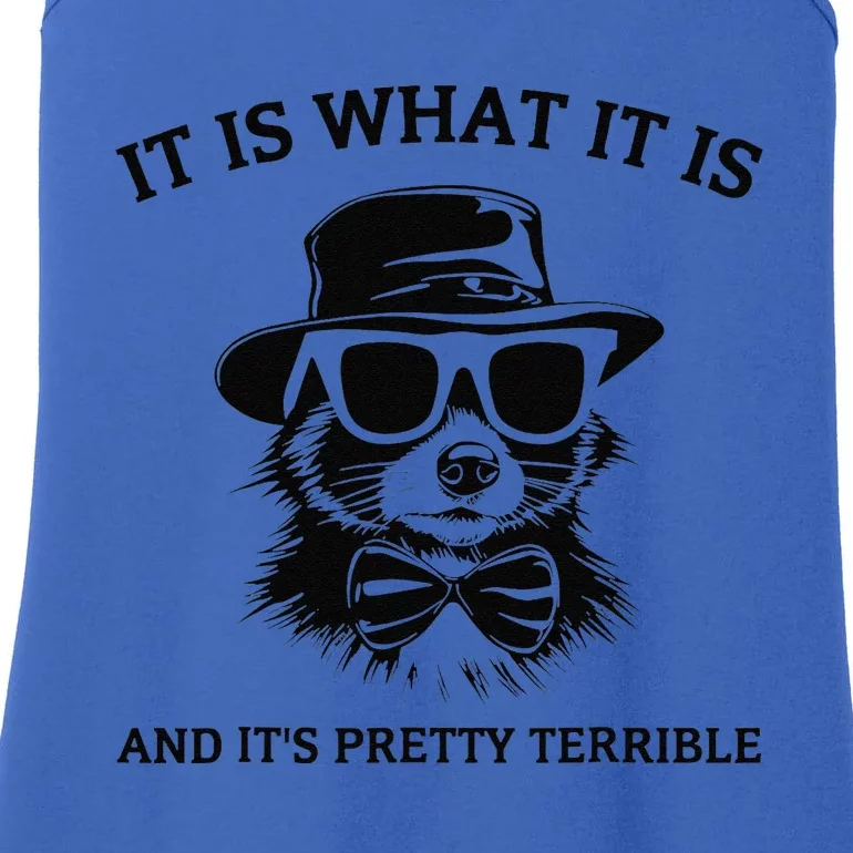 It Is What It Is And ItS Pretty Terrible Ladies Essential Tank