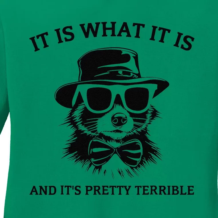 It Is What It Is And ItS Pretty Terrible Ladies Long Sleeve Shirt