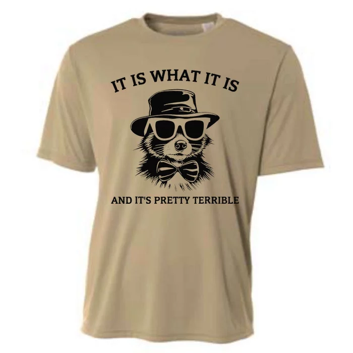 It Is What It Is And ItS Pretty Terrible Cooling Performance Crew T-Shirt