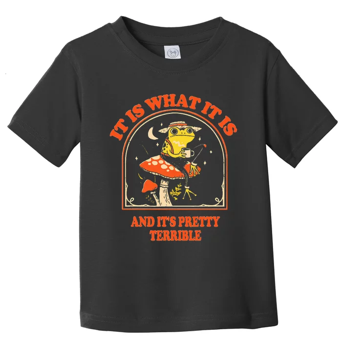 It Is What It Is And ItS Pretty Terrible Toddler T-Shirt