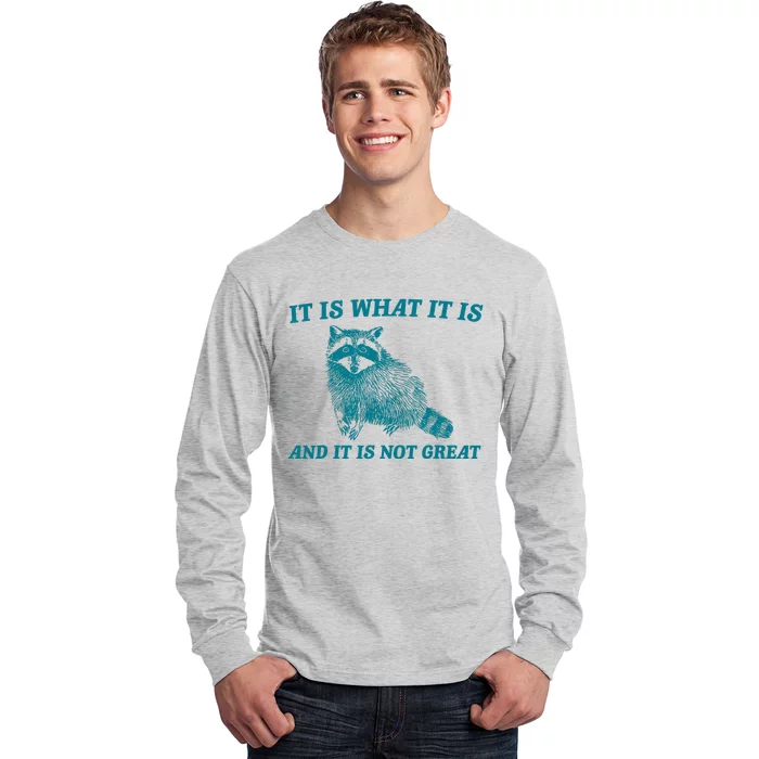 It Is What It Is And It Is Not Great Raccoon Long Sleeve Shirt