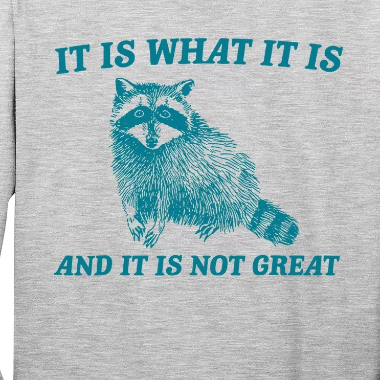 It Is What It Is And It Is Not Great Raccoon Long Sleeve Shirt