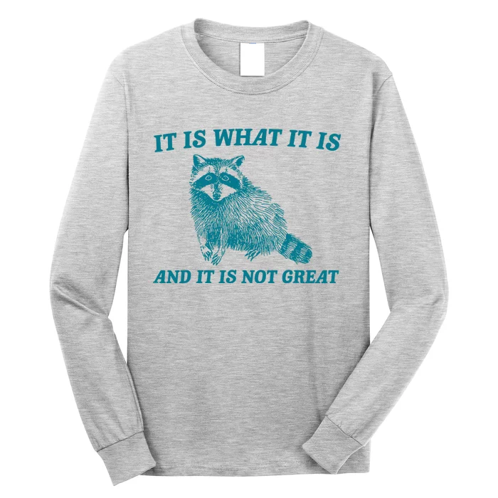 It Is What It Is And It Is Not Great Raccoon Long Sleeve Shirt