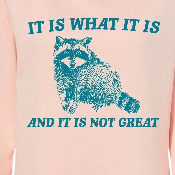 It Is What It Is And It Is Not Great Raccoon Womens California Wash Sweatshirt