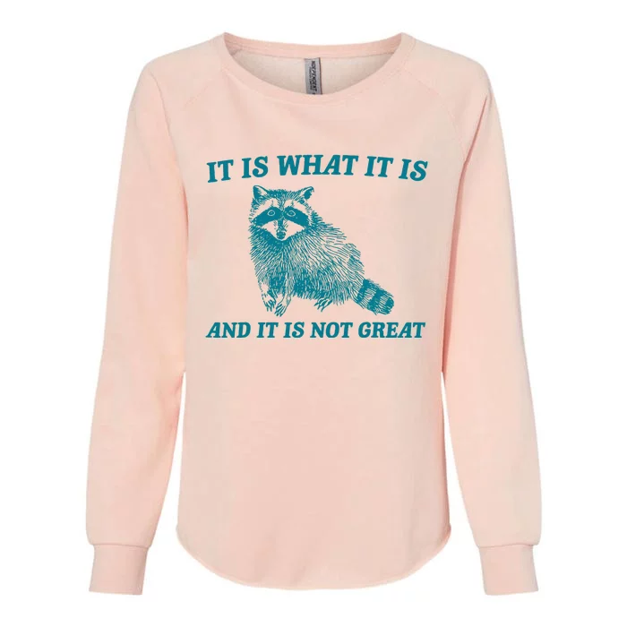 It Is What It Is And It Is Not Great Raccoon Womens California Wash Sweatshirt