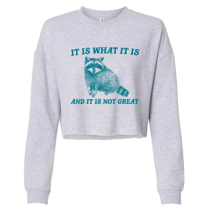 It Is What It Is And It Is Not Great Raccoon Cropped Pullover Crew