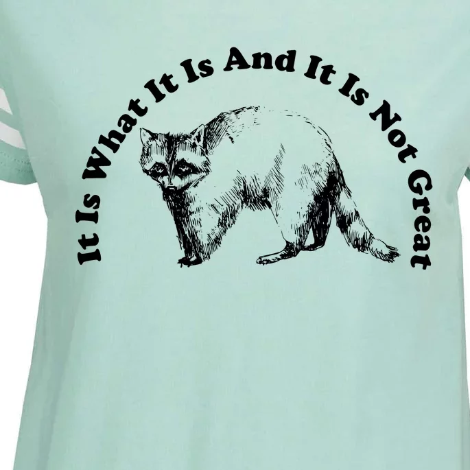 It Is What It Is And It Is Not Great Funny Raccoon Enza Ladies Jersey Football T-Shirt