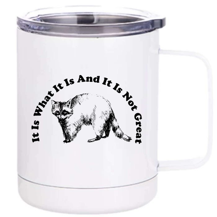 It Is What It Is And It Is Not Great Funny Raccoon Front & Back 12oz Stainless Steel Tumbler Cup