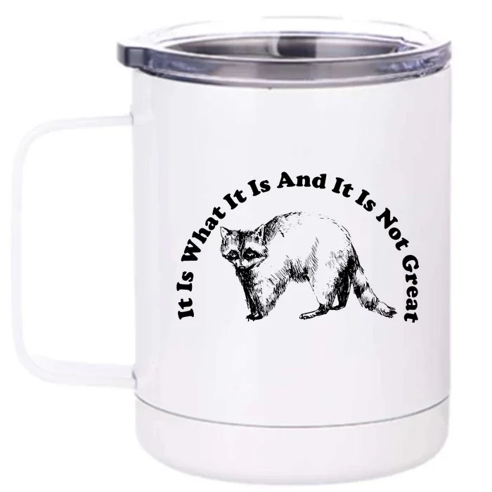 It Is What It Is And It Is Not Great Funny Raccoon Front & Back 12oz Stainless Steel Tumbler Cup