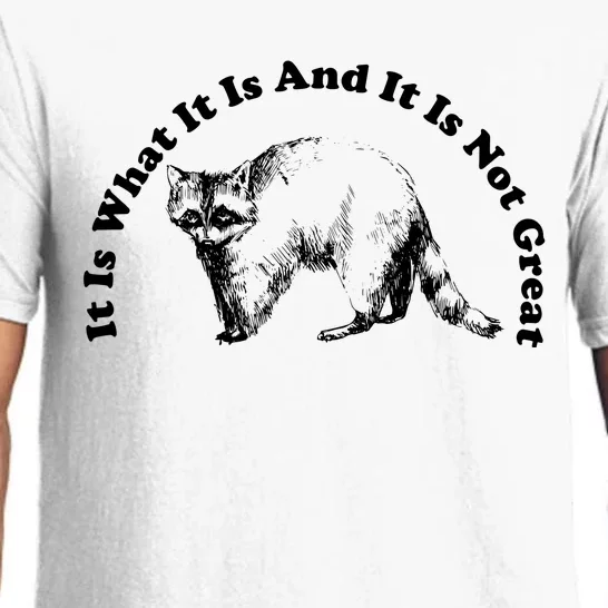 It Is What It Is And It Is Not Great Funny Raccoon Pajama Set