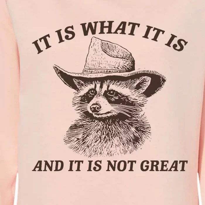 It Is What It Is And It Is Not Great Funny Raccoon Sarcastic Womens California Wash Sweatshirt