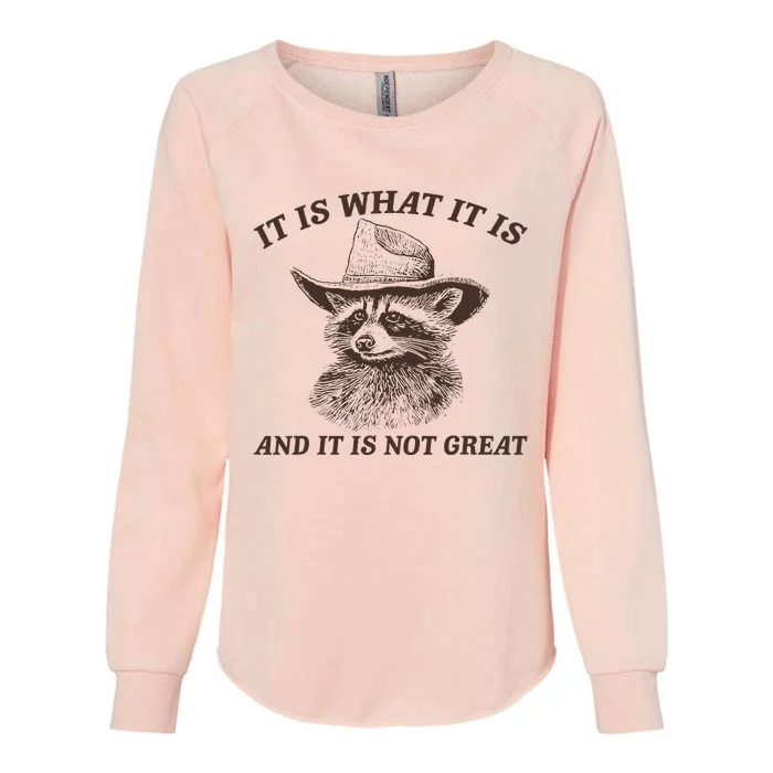 It Is What It Is And It Is Not Great Funny Raccoon Sarcastic Womens California Wash Sweatshirt