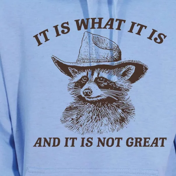 It Is What It Is And It Is Not Great Funny Raccoon Sarcastic Unisex Surf Hoodie