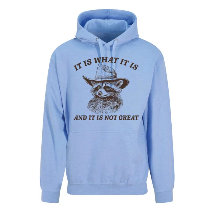 It Is What It Is And It Is Not Great Funny Raccoon Sarcastic Unisex Surf Hoodie