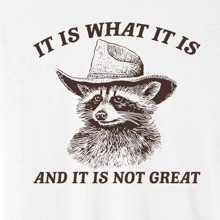 It Is What It Is And It Is Not Great Funny Raccoon Sarcastic ChromaSoft Performance T-Shirt