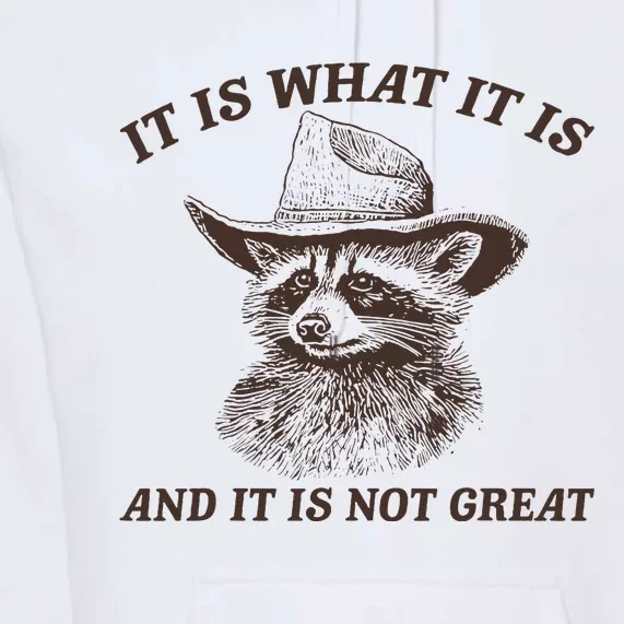 It Is What It Is And It Is Not Great Funny Raccoon Sarcastic Premium Hoodie