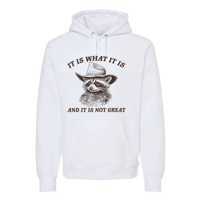 It Is What It Is And It Is Not Great Funny Raccoon Sarcastic Premium Hoodie