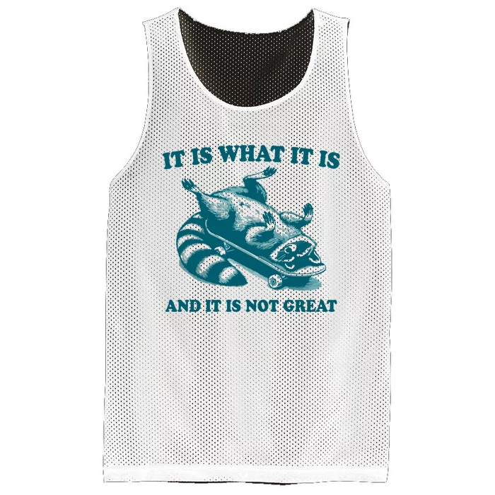 It Is What It Is And It Is Not Great Mesh Reversible Basketball Jersey Tank