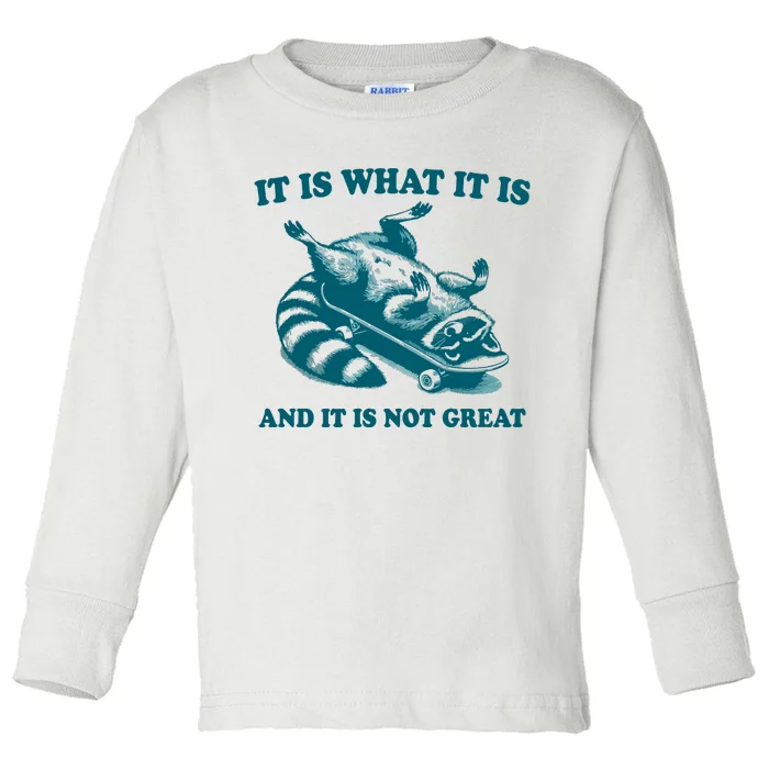 It Is What It Is And It Is Not Great Toddler Long Sleeve Shirt