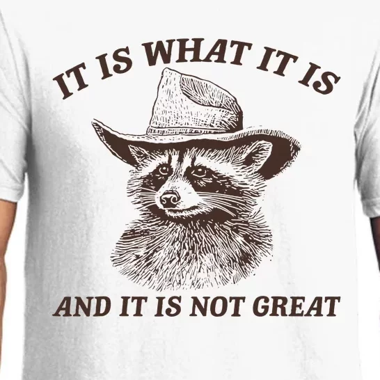 It Is What It Is And It Is Not Great Raccoon Pajama Set