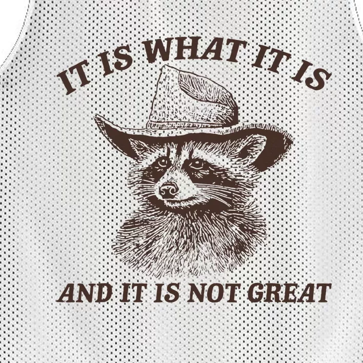 It Is What It Is And It Is Not Great Raccoon Mesh Reversible Basketball Jersey Tank