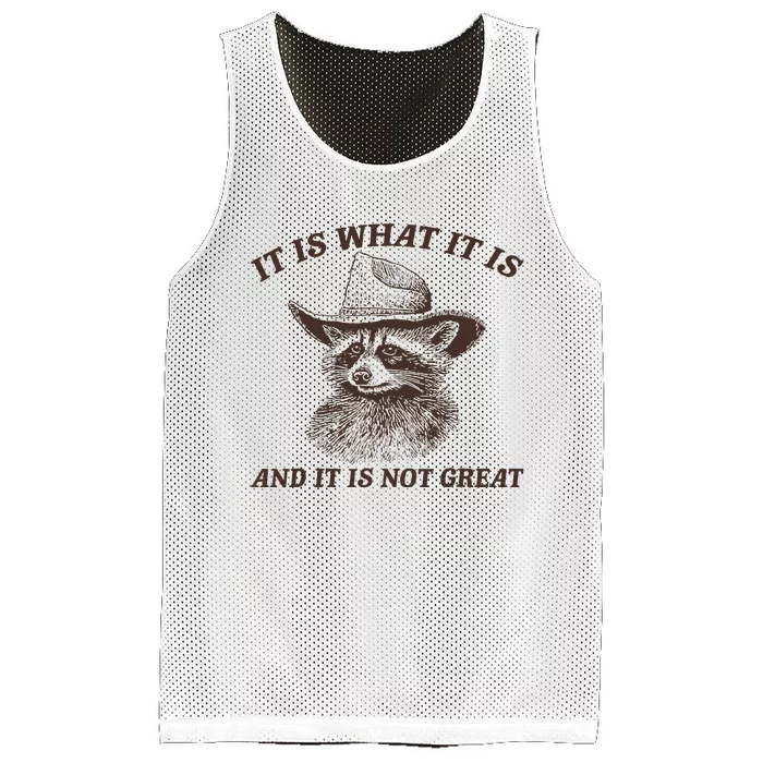 It Is What It Is And It Is Not Great Raccoon Mesh Reversible Basketball Jersey Tank