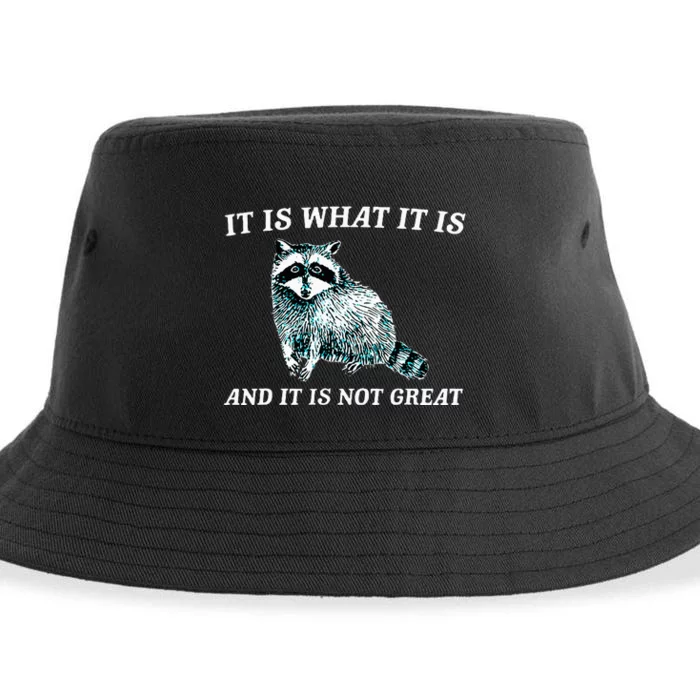 It Is What It Is And It Is Not Great Raccoon Sustainable Bucket Hat