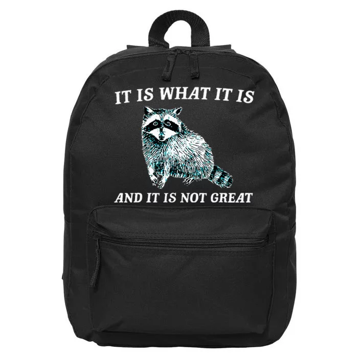 It Is What It Is And It Is Not Great Raccoon 16 in Basic Backpack