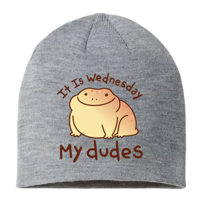 It Is Wednesday My Dudes Frog Funny 8 1/2in Sustainable Knit Beanie