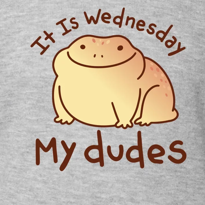 It Is Wednesday My Dudes Frog Funny Toddler Sweatshirt