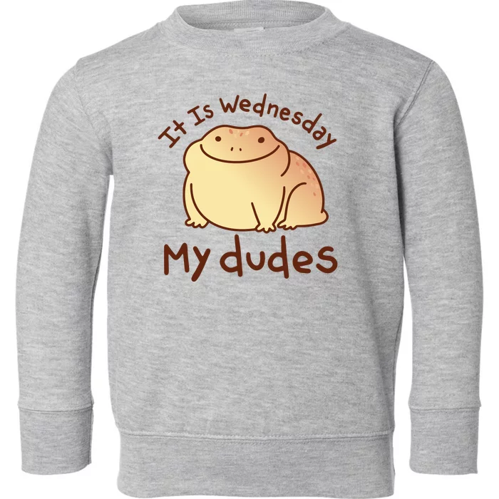 It Is Wednesday My Dudes Frog Funny Toddler Sweatshirt