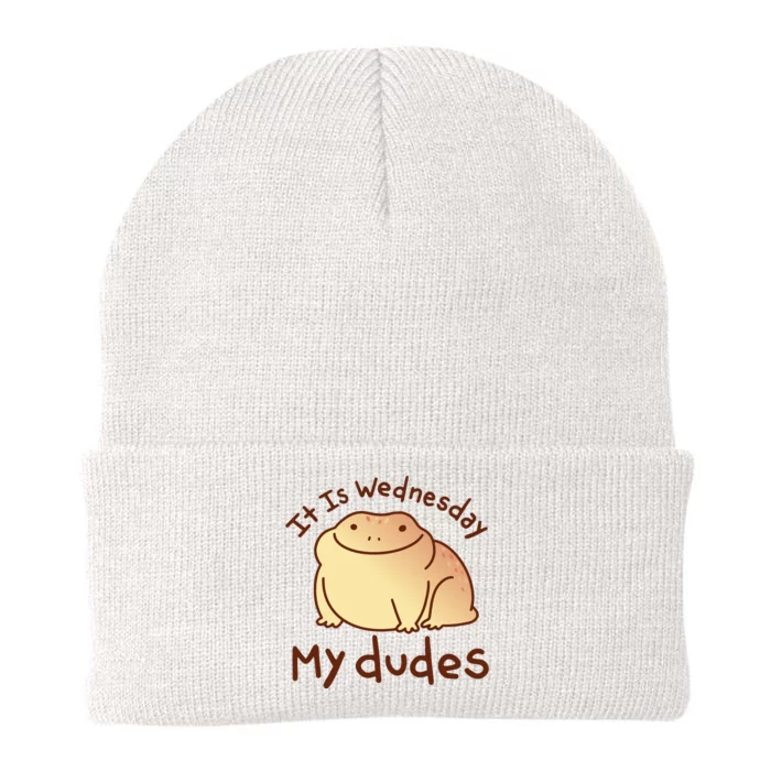 It Is Wednesday My Dudes Frog Funny Knit Cap Winter Beanie