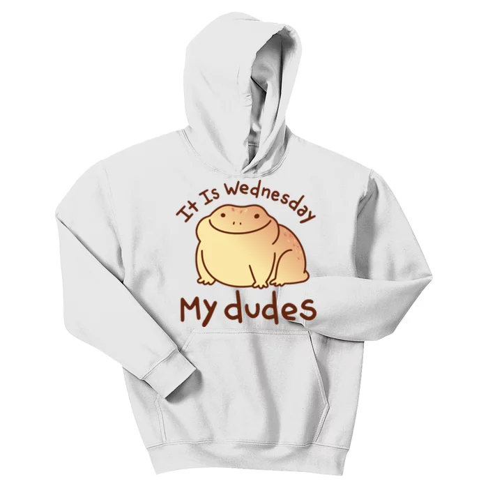 It Is Wednesday My Dudes Frog Funny Kids Hoodie