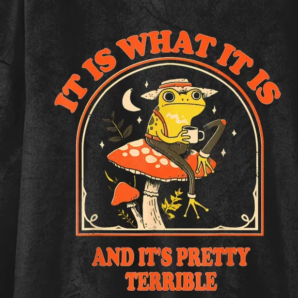 It Is What It Is And ItS Pretty Terrible Funny Design Hooded Wearable Blanket