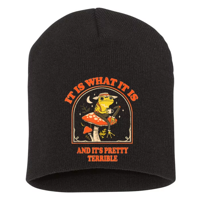 It Is What It Is And ItS Pretty Terrible Funny Design Short Acrylic Beanie