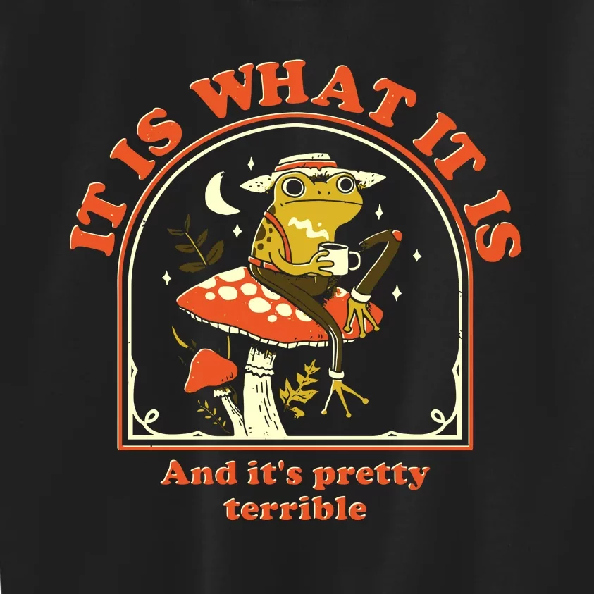 It Is What It Is And Its Pretty Terrible Kids Sweatshirt