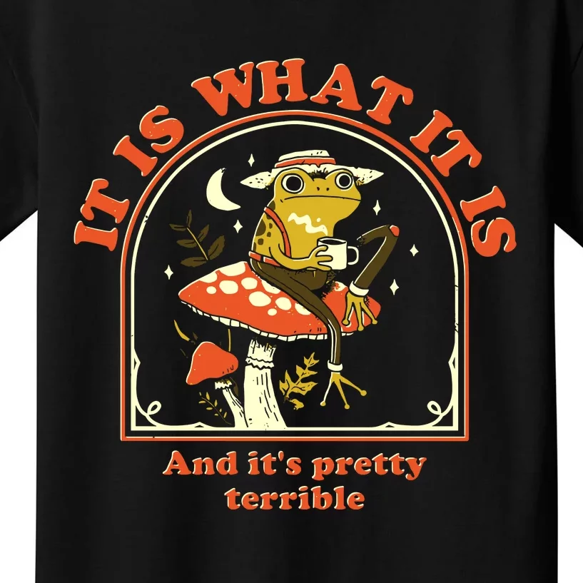 It Is What It Is And Its Pretty Terrible Kids T-Shirt