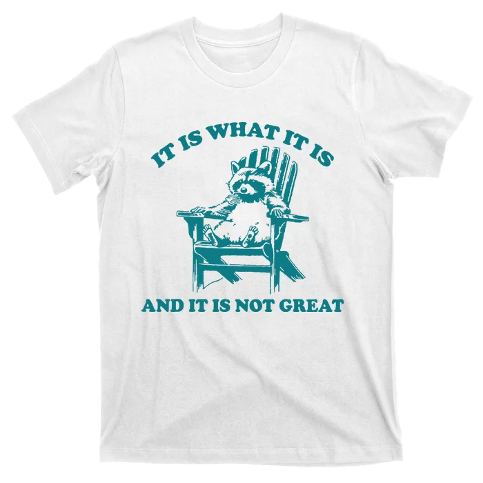 It Is What It Is And It Is Not Great T-Shirt