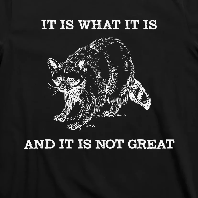 It Is What It Is And It Is Not Great Funny Raccoon Meme T-Shirt